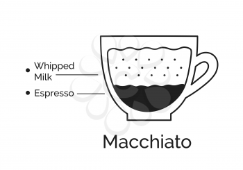 Vector minimalistic infographic illustration of Macchiato coffee recipe isolated on white background.
