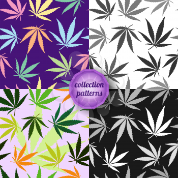 Set of Vector graphics, artistic, stylized  seamless pattern with the image of the leaves of cannabis. 
