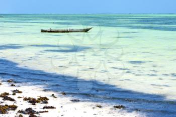 zanzibar beach  seaweed in indian ocean tanzania       sand isle   sky and boat
