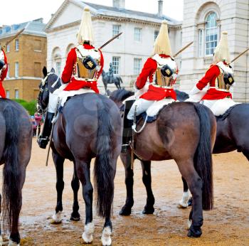 in london england horse and cavalry for       the queen