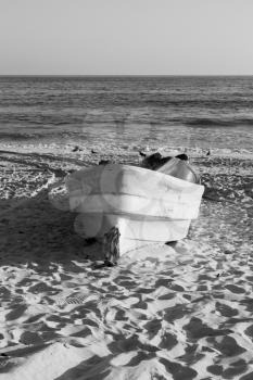 and seagull near ocean in oman boat in the coastline 