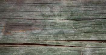 blur in  south africa   abstract wood closeup like background texture