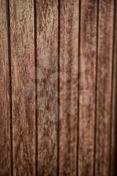 blur in  south africa   abstract wood closeup like background texture