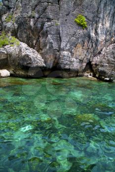 asia in the  kho phangan isles bay   rocks    thailand  and south china green sea  