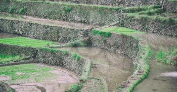 blur  in  philippines  terrace field for coultivation of rice  from banaue unesco site 
