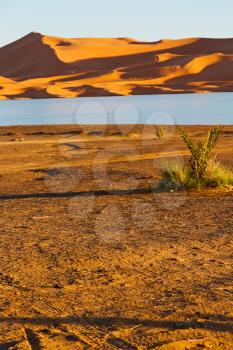 sunshine in the desert of morocco sand and  lake        dune