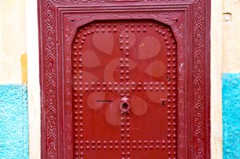 olddoor in morocco  africa ancien and wall ornate brown blue
