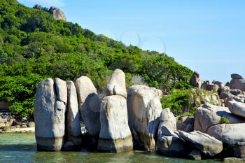 asia kho tao bay isle white  beach    rocks house boat in thailand  and south china sea 