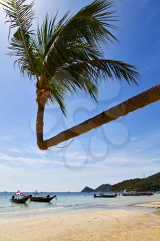 sun ligt  asia in the  kho tao bay isle white  beach    rocks  boat   thailand  and south china sea anchor