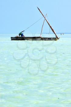 zanzibar beach  seaweed in indian ocean tanzania    sand isle  sky and boat
