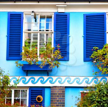 notting hill in london england old suburban and antique  flowers