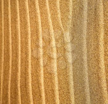 in lanzarote  spain texture abstract of a  dry sand and the beach 
