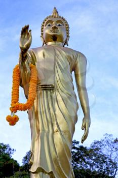  siddharta  in the temple bangkok asia   thailand abstract cross        step    wat   palaces   