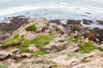 blur in south africa   sky ocean  de hoop reserve nature and rocks