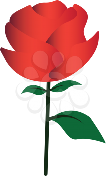 Simple flat color rose icon vector