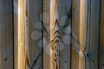 The Brown Wood Texture With Natural Patterns