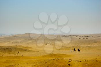 Two camels with Bedouins in the desert
