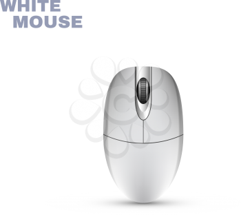 Computer Mouse isolated on white. Vector illustration