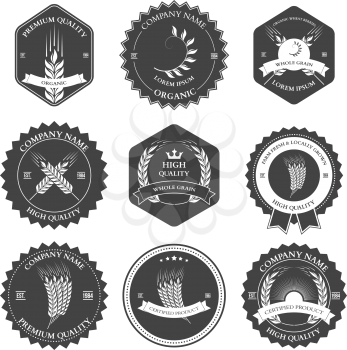 Ears of wheat and rye set labels, badges and design elements. Vector illustration