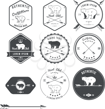 Set of vintage bear icons, emblems and labels. Vector illustration