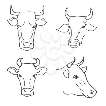 Set of Hand Drawn Cow Heads Vector Illustration