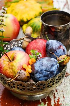 Stylish metal bowl with apples,plums and acorns in the autumn still life