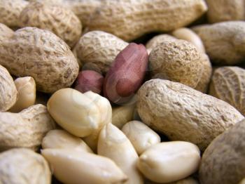 Agricultural background, a pile of beautiful peanut