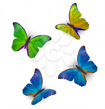 Butterfly Set Isolated on White Realistic Vector Illustration EPS10
