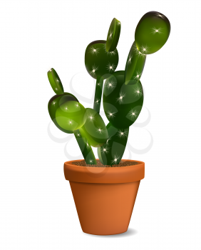 Cactus in Flowerpot. Isolated Vector Illustration EPS10