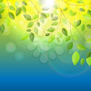 Shiny Spring Natural Leaves Background. Vector Illustration EPS10