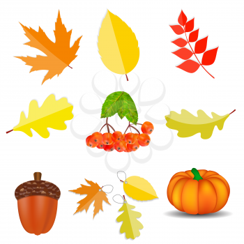 Shiny Autumn Natural Icons  Vector Illustration. EPS10