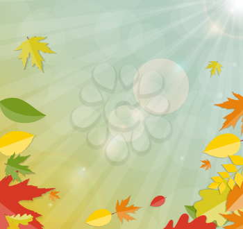Shiny Autumn Natural Leaves Background. Vector Illustration. EPS10