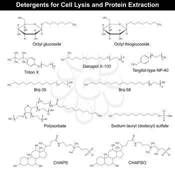 Detergents formulas for cell lysis and protein extraction, 2d vector, eps 8