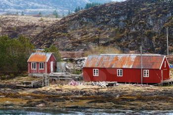 Traditional red wooden fishing barns and house on Norwegian coast