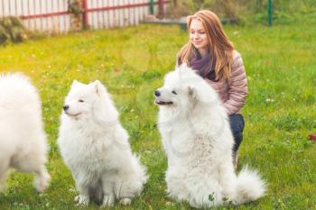 Happy teenage girl with white Samoyed dogs walk in park, outdoor portrait