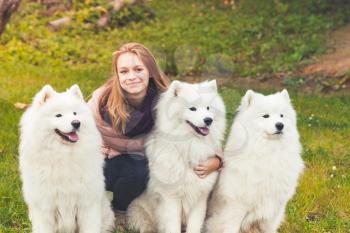 Smiling Caucasian girl with three white Samoyed dogs on a walk in autumn park