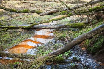 Small stream with dark red water goes through wild Russian forest, old fallen trees lay over it
