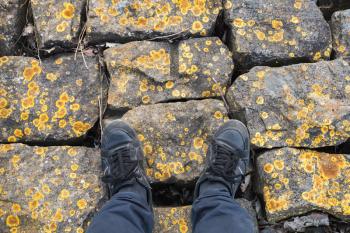 Male feet in blue jeans and black leather shoes stand on rough stones with yellow lichen 