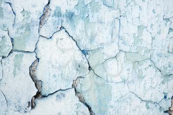 Grunge blue white wall with peeling paint, close-up background photo texture