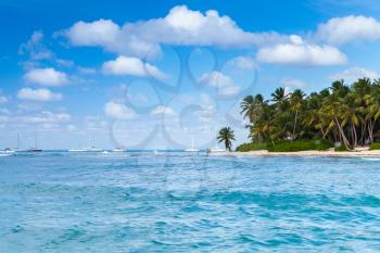 Palms trees on sandy beach. Caribbean Sea, Dominican republic, Saona island coast, popular touristic resort