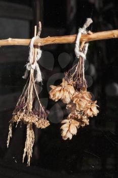 Dry bouquets hanging behind the window in Finnish village