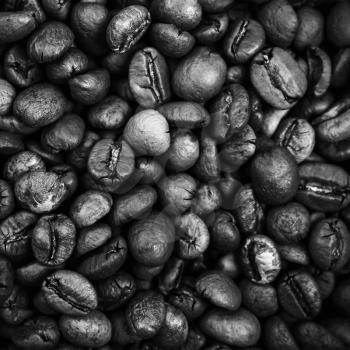 Closeup monochrome square photo of roasted coffee beans