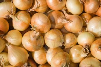 A pile of bulb onions on a counter