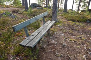 Empty wooden bench in the European summer park