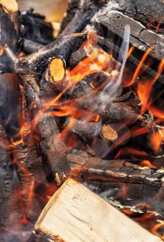 Burning firewood, bonfire macro photo with selective focus