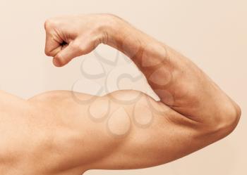 Strong male arm shows biceps. Close up photo