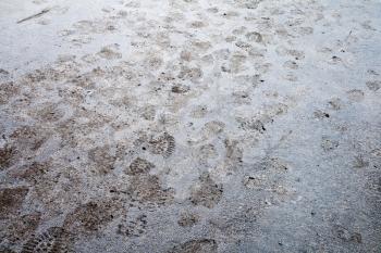 Footprints in the fresh snow