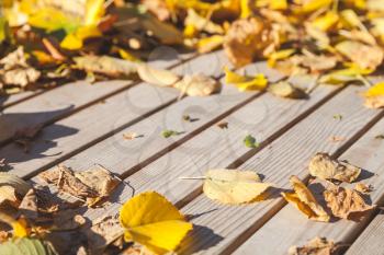 Background photo texture with old wooden table and yellow autumnal leaves in the sunlight
