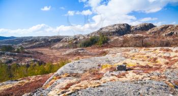 Northern Norway in springtime. Panoramic mountain landscape with trees red moss growing on rocks