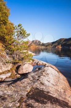 Vertical Norwegian landscape with pine trees growing on coastal rocks, Snillfjord, Sor-Trondelag, Vingvagen fishing camp 